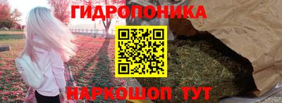 скорость Пугачёв