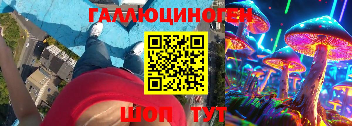 Новосибирск  Галлюциногенные грибы MAGIC MUSHROOMS  Вход с VPN 