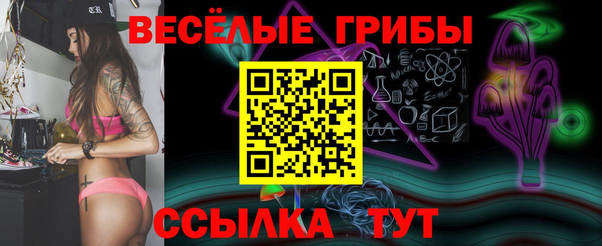 Галлюциногенные грибы мухоморы Новосибирск